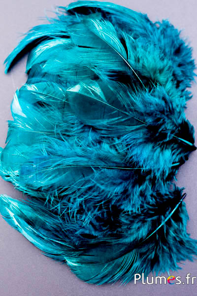 Henne - 5-9 cm - petrol